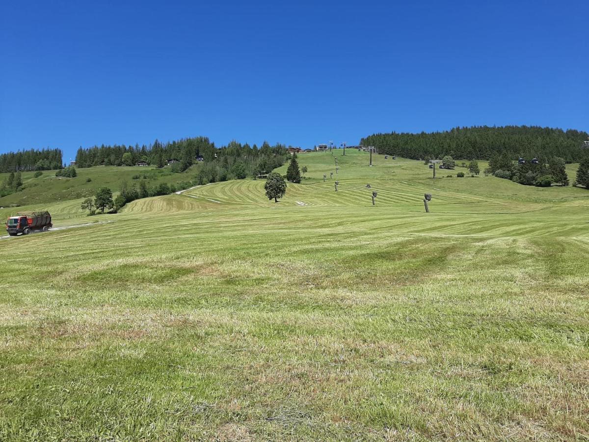 Bio-Bauernhof Hatzbauer Maria Alm am Steinernen Meer Exterior foto