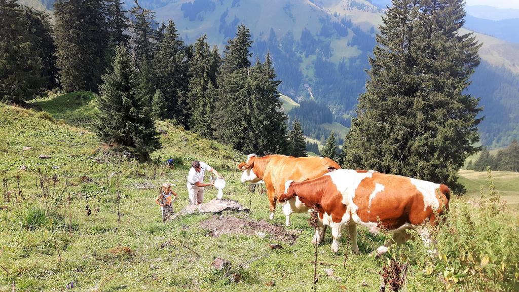 Bio-Bauernhof Hatzbauer Maria Alm am Steinernen Meer Exterior foto