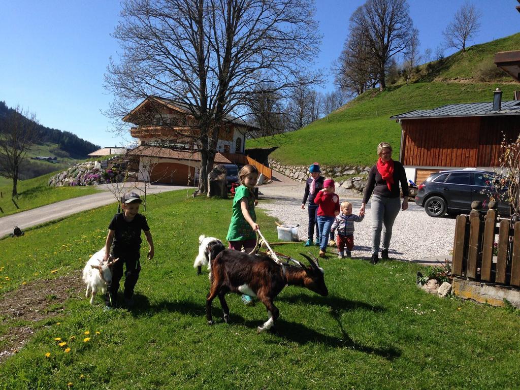 Bio-Bauernhof Hatzbauer Maria Alm am Steinernen Meer Exterior foto