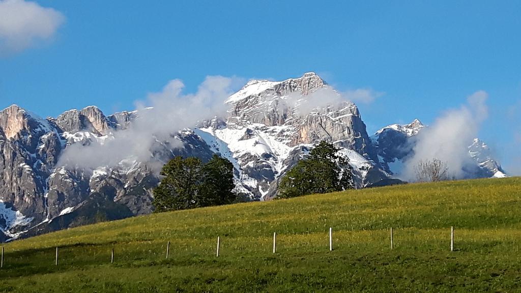 Bio-Bauernhof Hatzbauer Maria Alm am Steinernen Meer Exterior foto