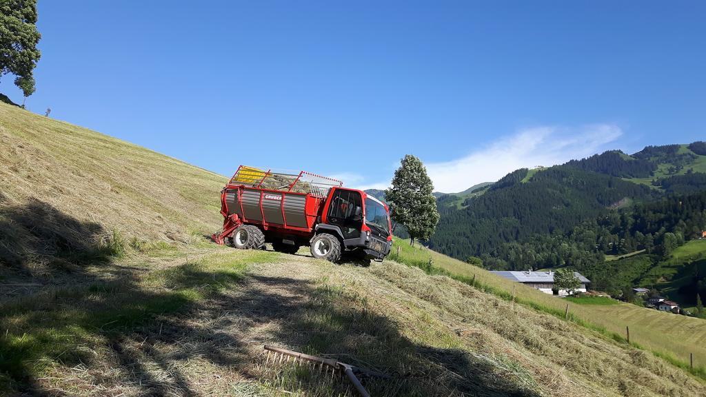 Bio-Bauernhof Hatzbauer Maria Alm am Steinernen Meer Exterior foto