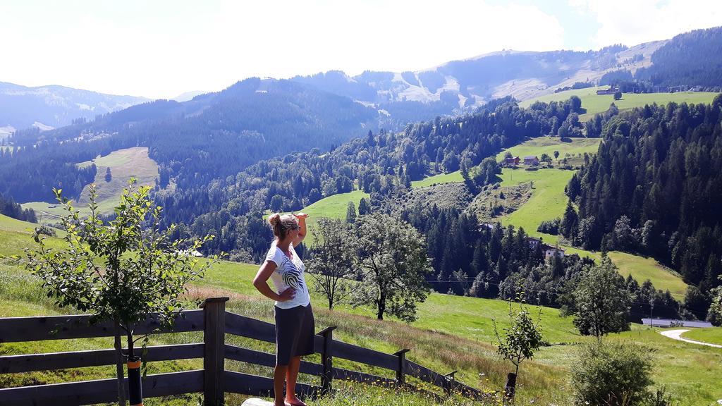 Bio-Bauernhof Hatzbauer Maria Alm am Steinernen Meer Exterior foto
